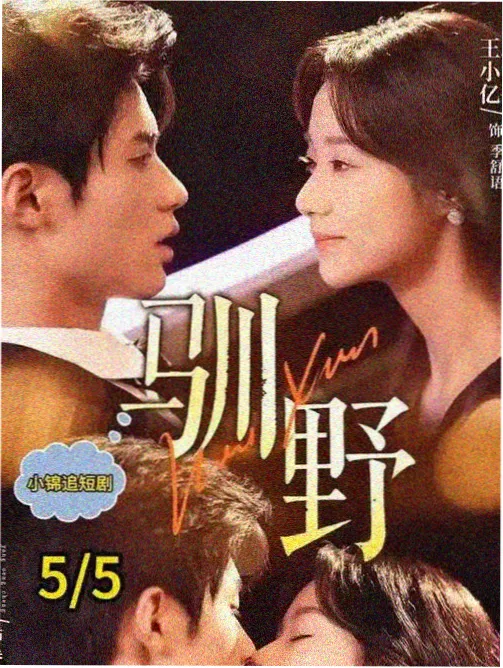 湖心信号作品封面贴纸